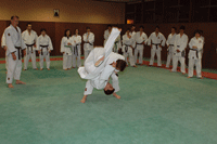 club judo viroflay