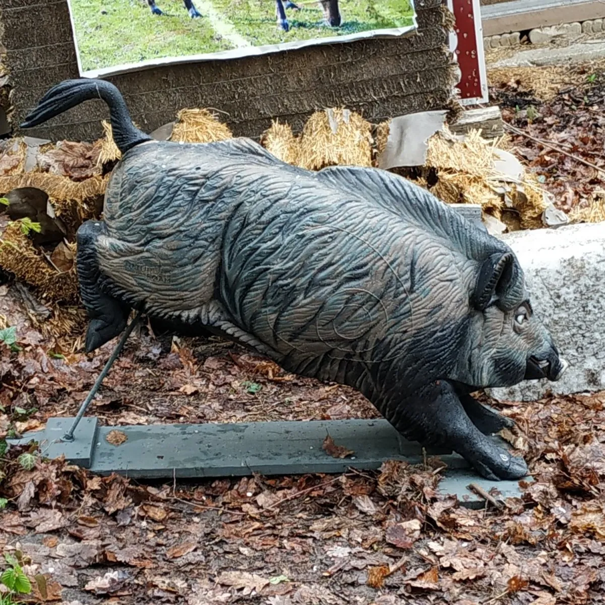 img-20231013-wa0001.webp