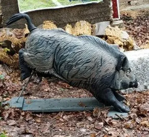 sanglier.webp