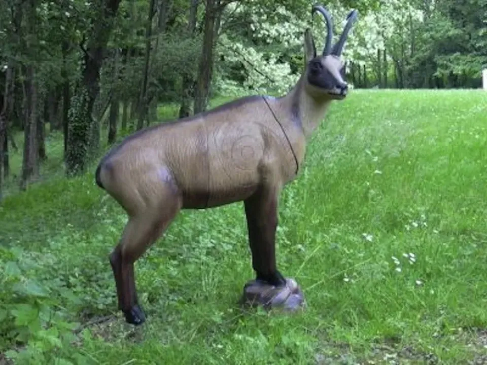 chamois.webp
