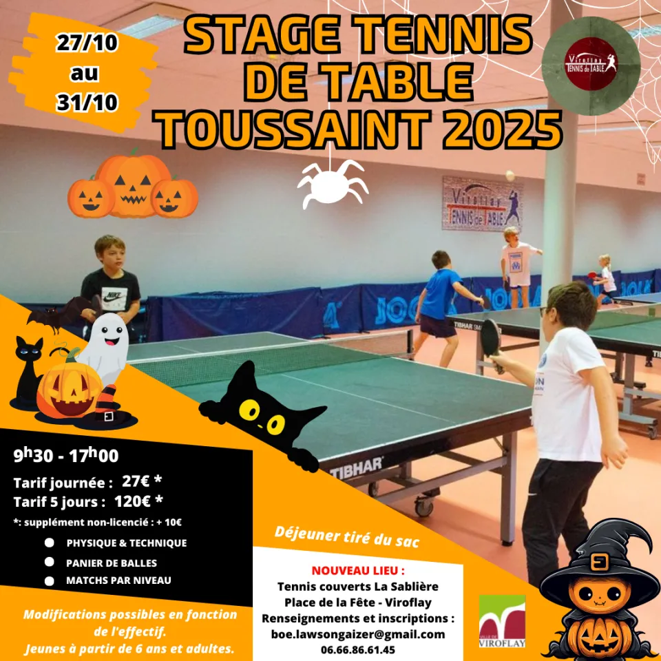stage-toussaint-tennis-table-2025.png