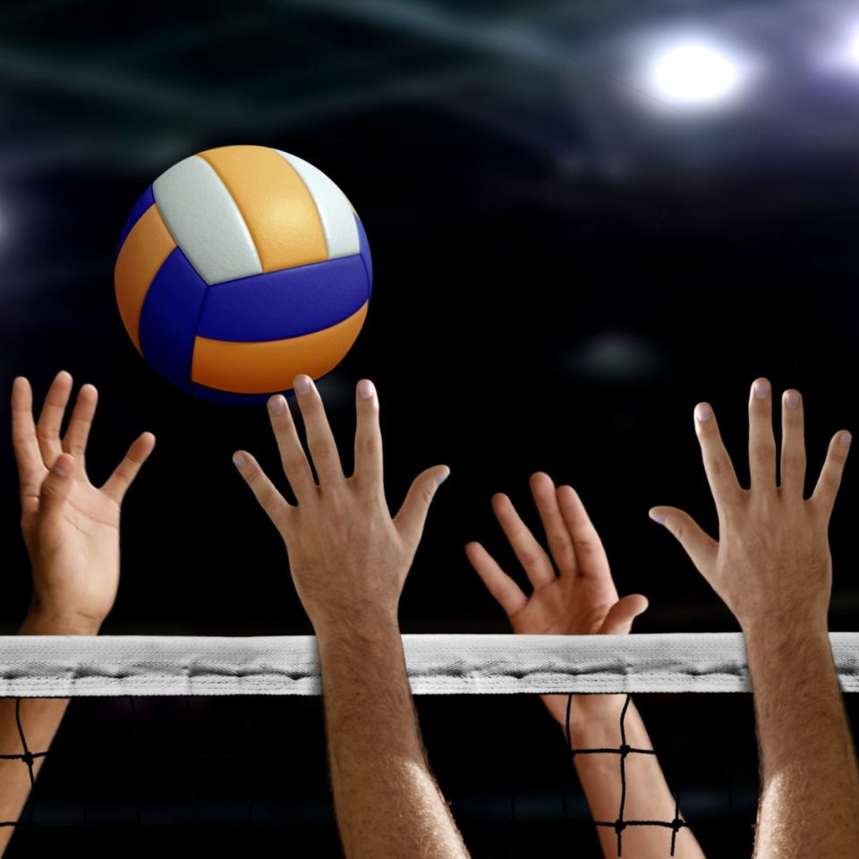 volley-site.png