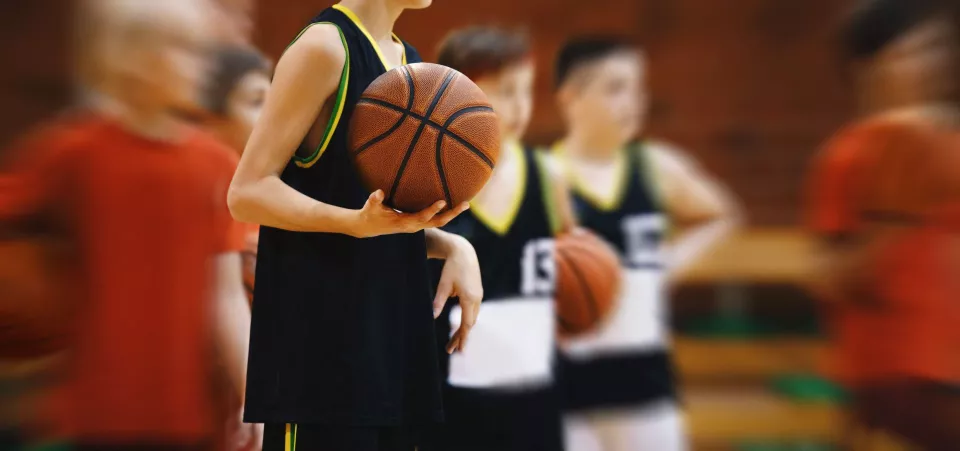 section-basket3.jpg
