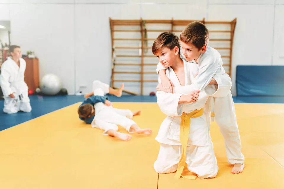 section-judo.jpg