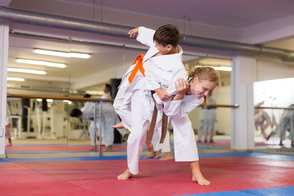 section-tai-jitsu-do5.jpg