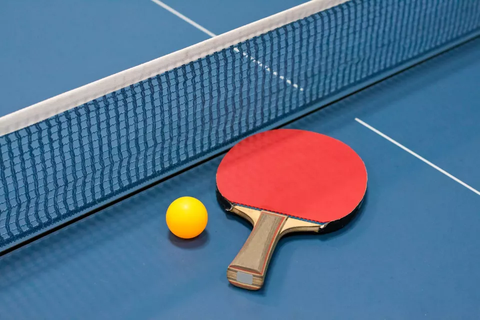 section-tennis-de-table3.jpg