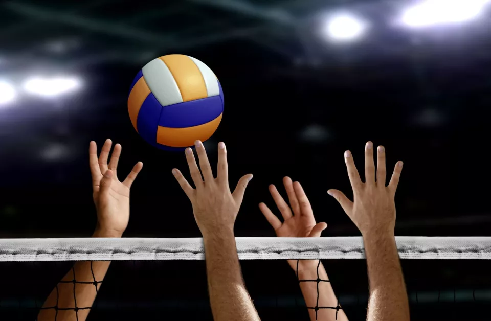 setion-volley-ball.jpg