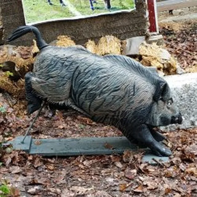 sanglier.webp
