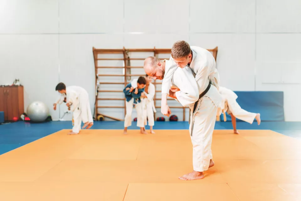 stages-judo3.jpg